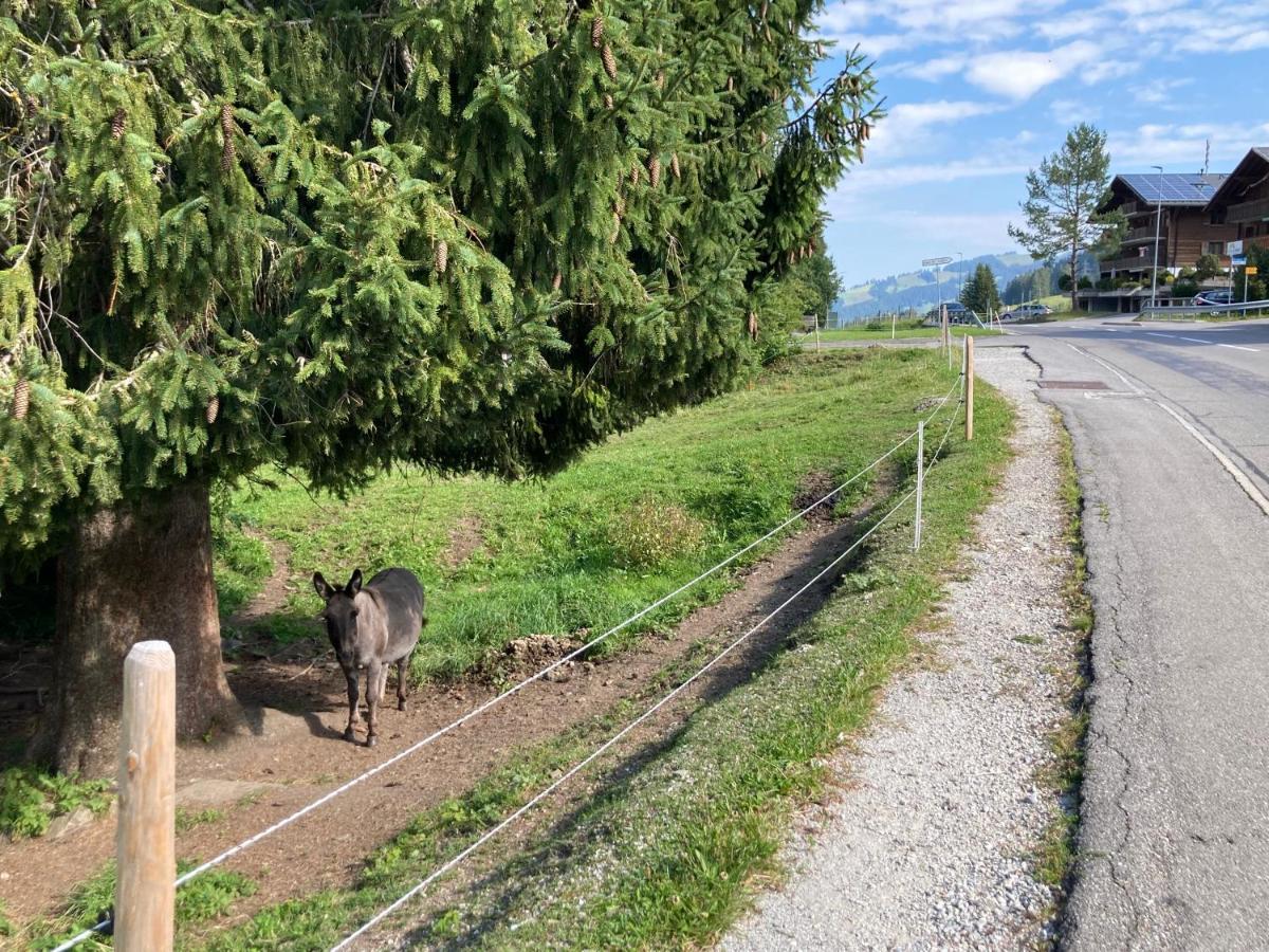 Alte Post * Bad-Schwarzsee