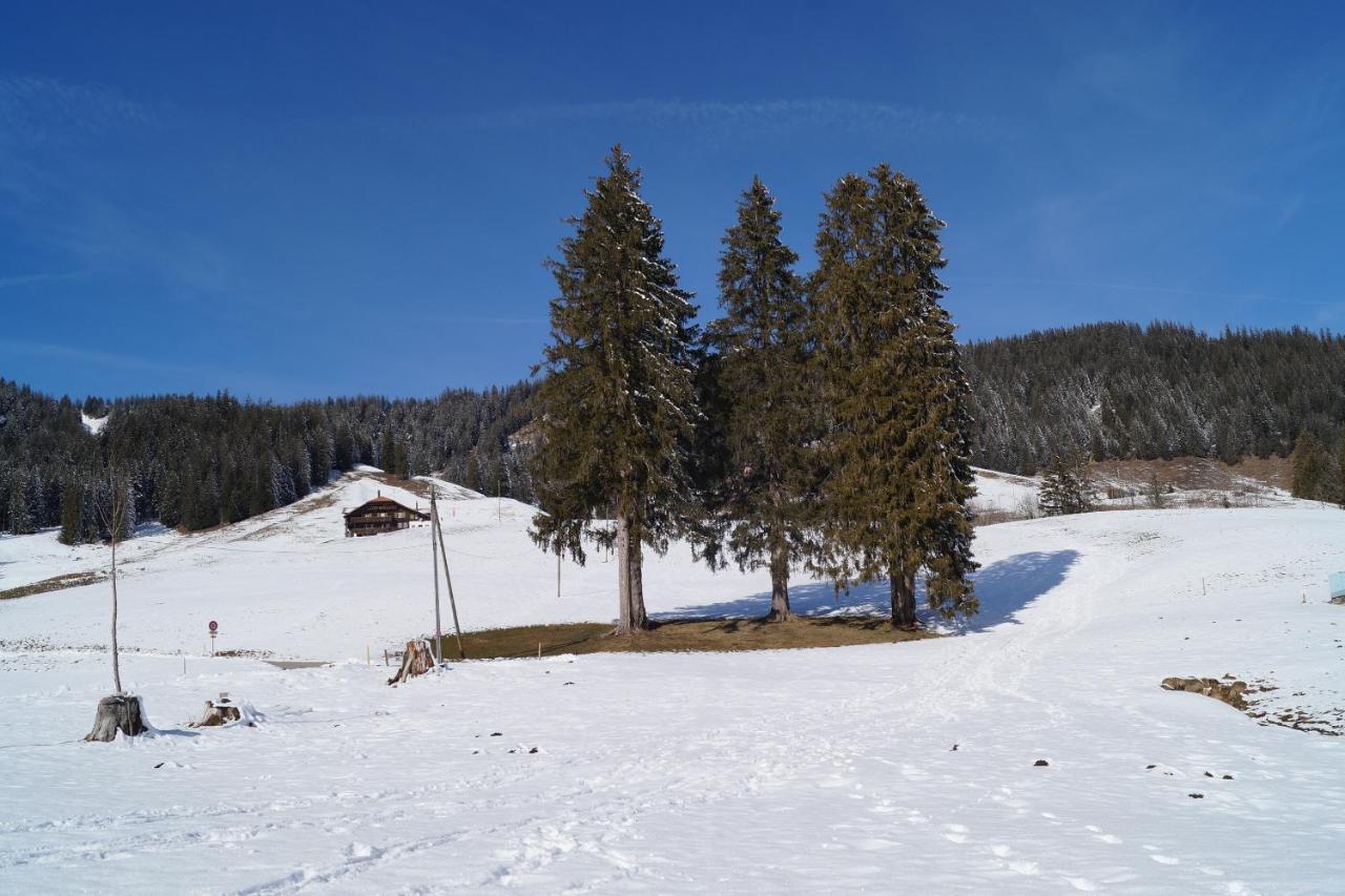 Alte Post Apartment Bad-Schwarzsee