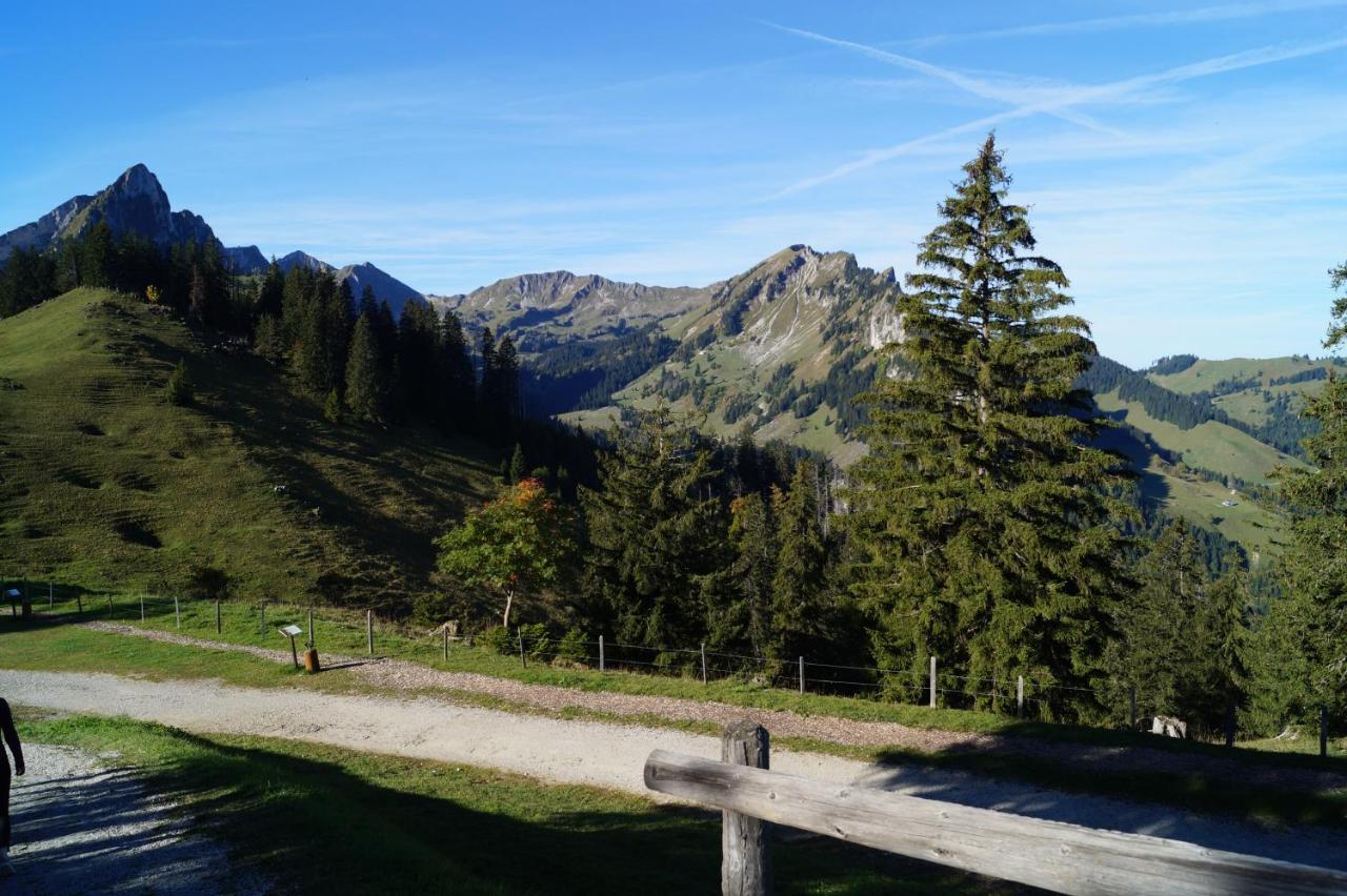 Alte Post Apartment Bad-Schwarzsee