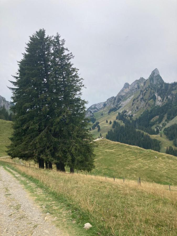 Alte Post * Bad-Schwarzsee